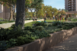 Landscape Garden